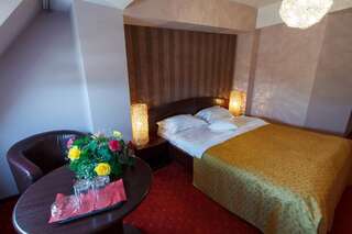 Отель Hotel Anna Тыргу-Жиу Двухместный номер с 1 кроватью-15