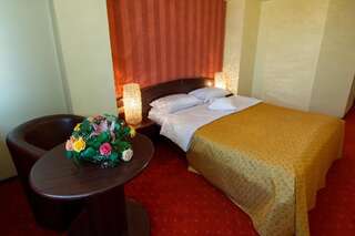Отель Hotel Anna Тыргу-Жиу Двухместный номер с 1 кроватью-17
